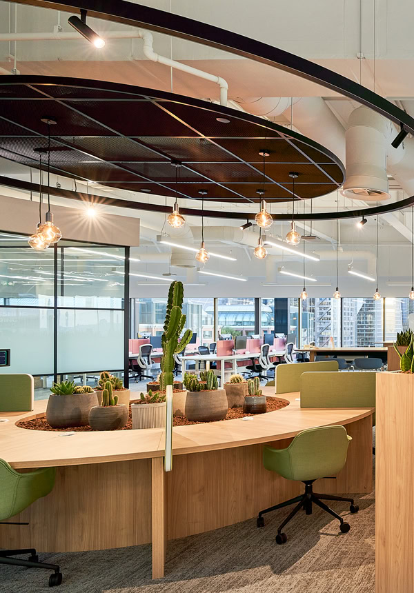Braze-Ceiling-AC500-TALL3