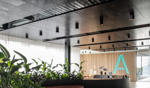 Perforated Metal Ceiling Systems for Modern Design